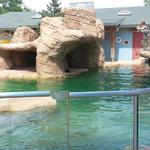21. Tulsa Zoo Sea Lion Exhibit Roof Installation.